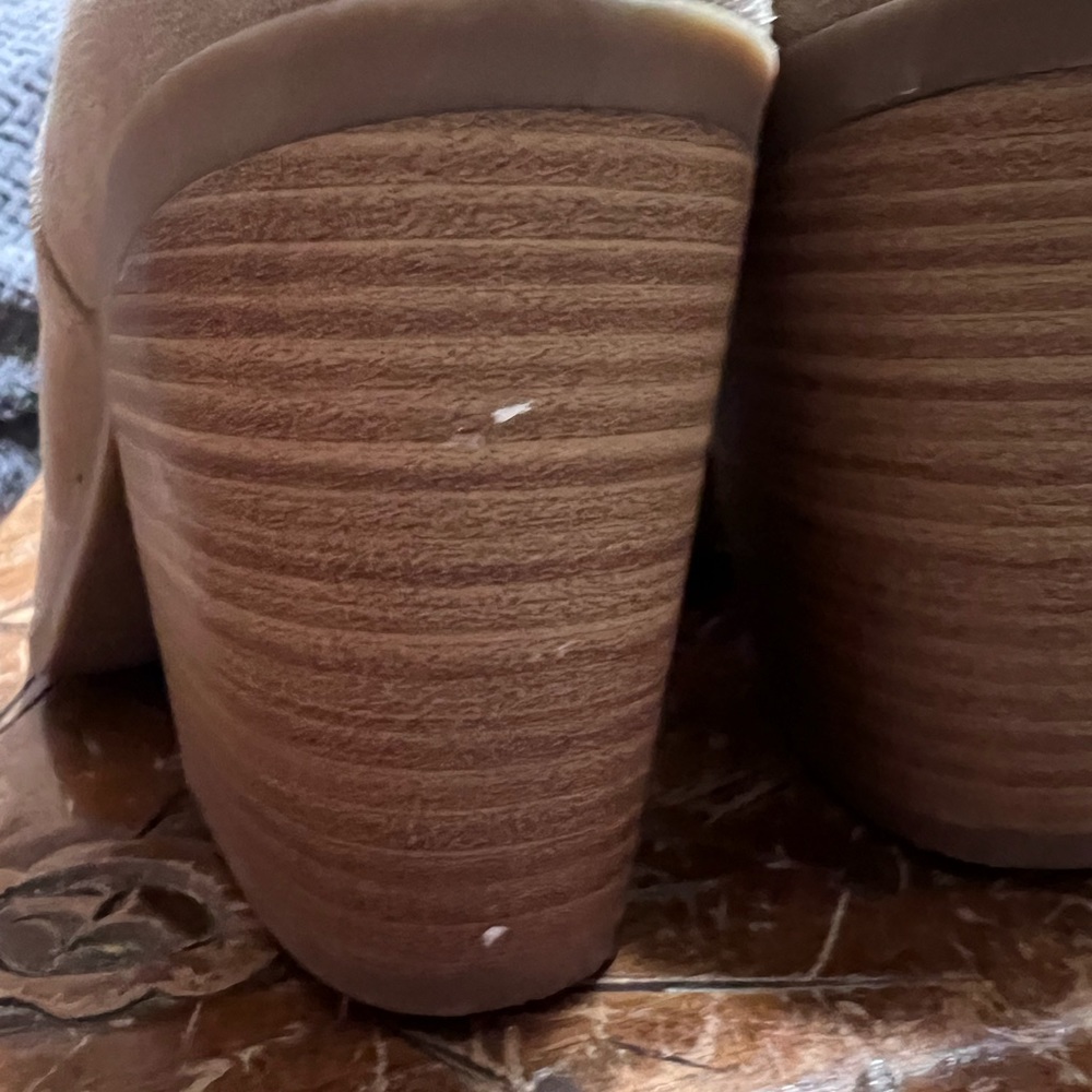 Torrid Booties - Picture 8 of 13